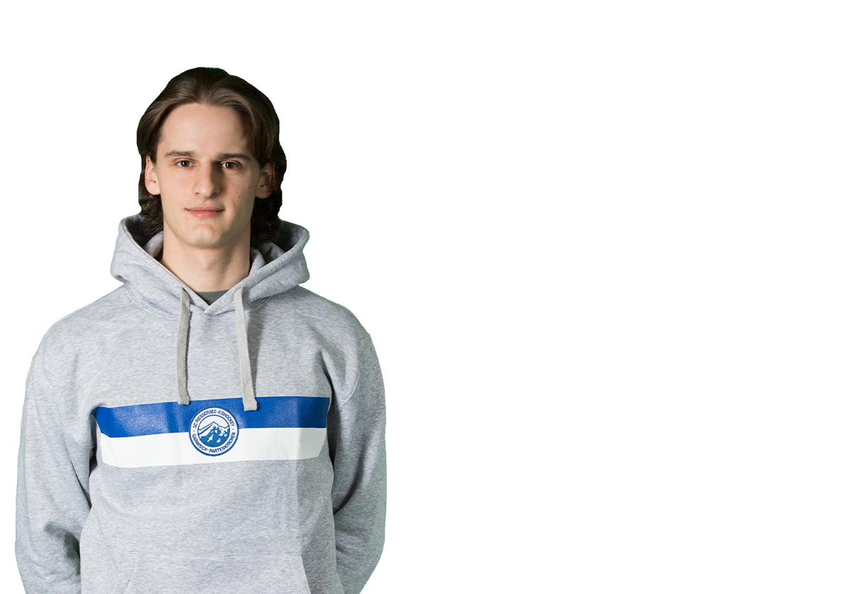 Hoody Grau „White & Blue Emblem“