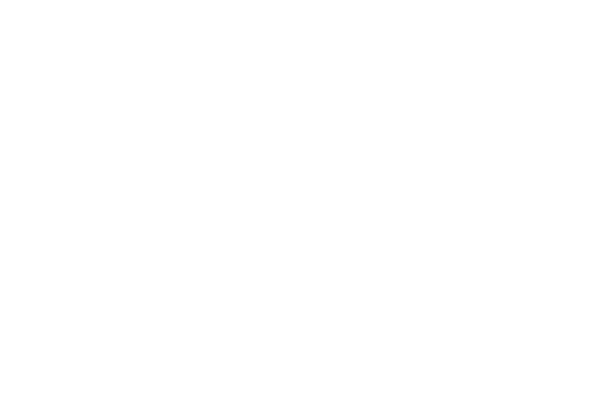 Allfinanz Herbert Abenthung