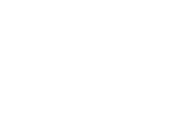 Circus Krone