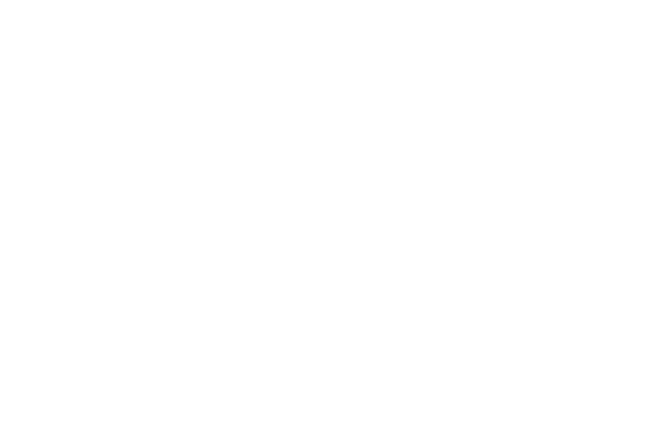 der Laden
