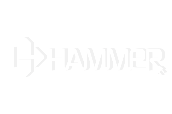 Elektro Hammer