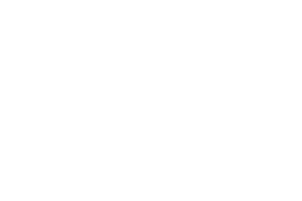 fms Jansen