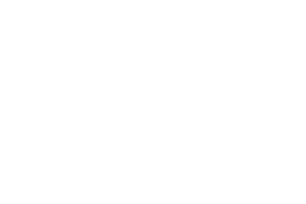 Metzgerei Fink