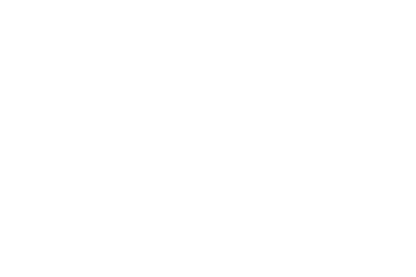 Niebling Form