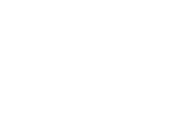 Pub33