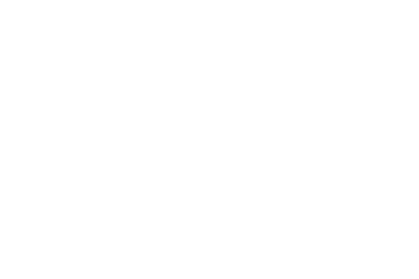 Ringmaier