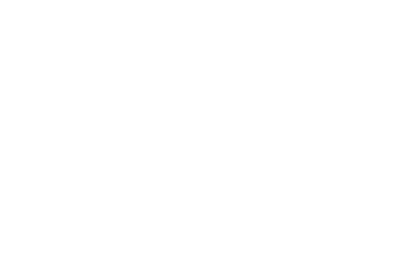 Wiesendanger Medien